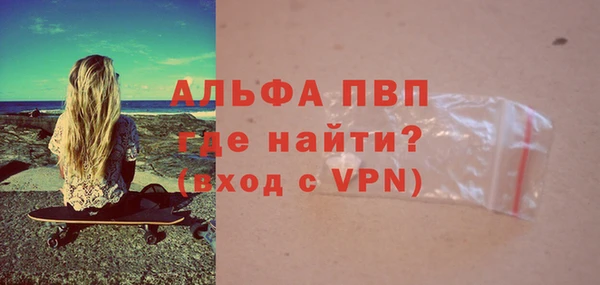 стафф Карпинск