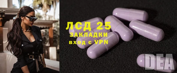 стафф Карпинск