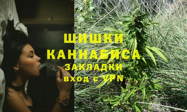 стафф Карпинск