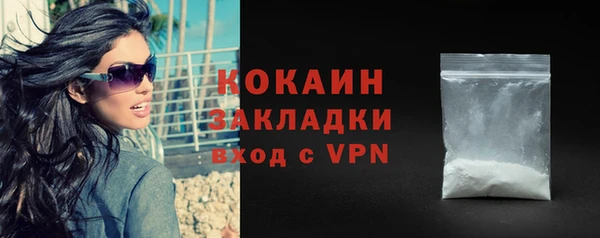 стафф Карпинск