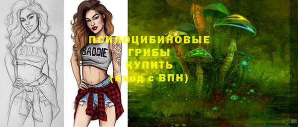 стафф Карпинск