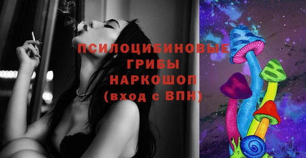 стафф Карпинск
