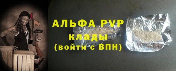 стафф Карпинск