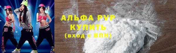 стафф Карпинск