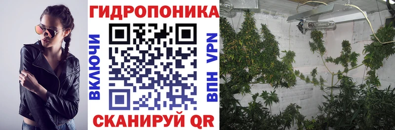 купить   Цоци-Юрт  Конопля индика 